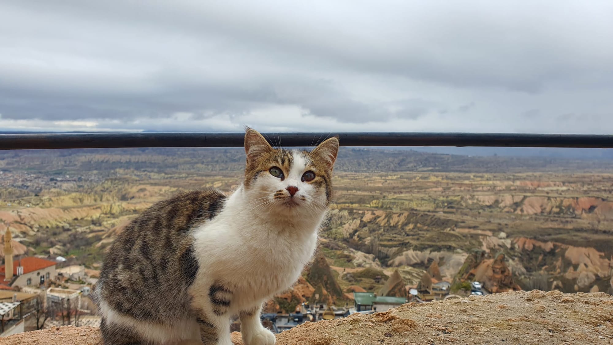 Descoperă Cappadocia - paradisul baloanelor cu aer cald