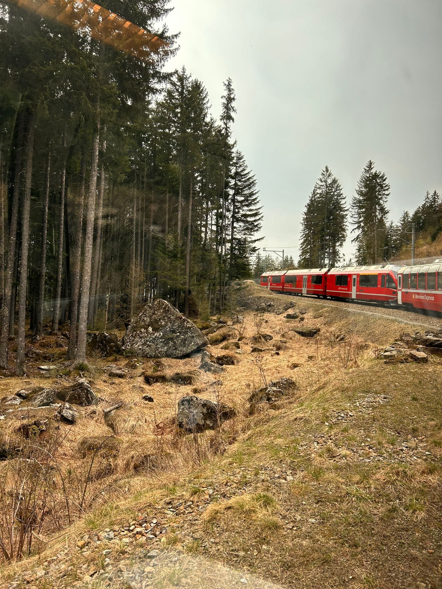 Cel mai frumos traseu din lume cu Bernina Express din Italia în Elveția!