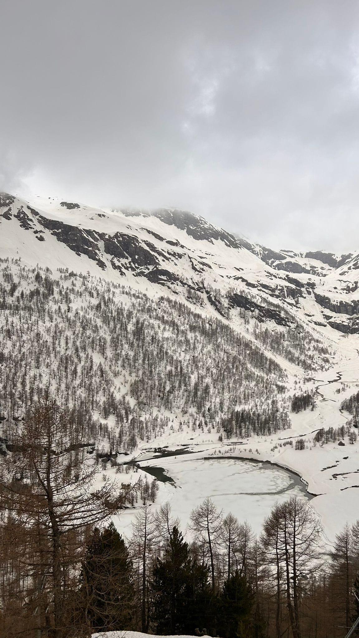 Cel mai frumos traseu din lume cu Bernina Express din Italia în Elveția!