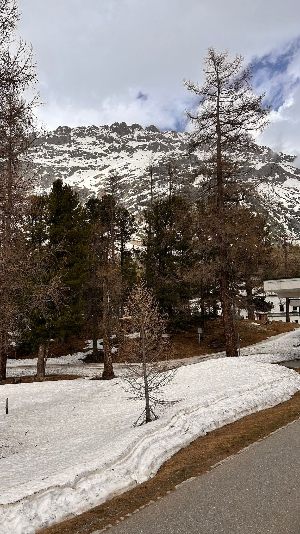 Cel mai frumos traseu din lume cu Bernina Express din Italia în Elveția!