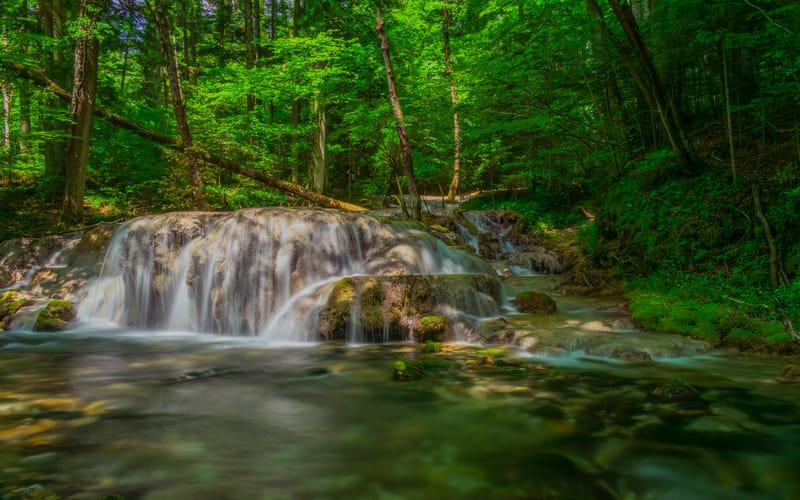 Lacul Ochiul Beiului și Lacul Scropoasa, două comori de smarald ale României