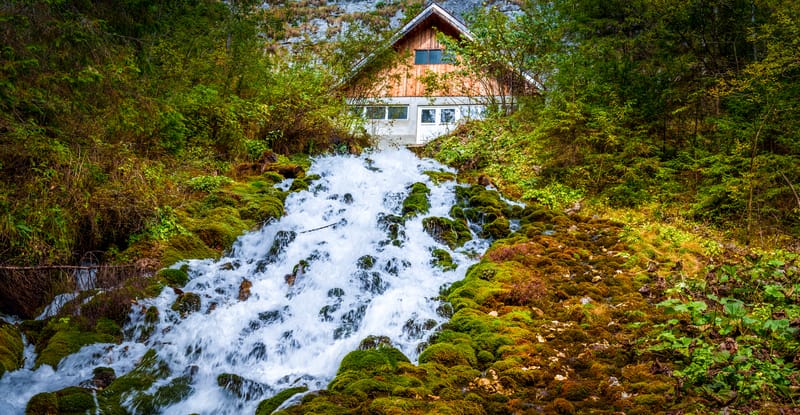 Lacul Ochiul Beiului și Lacul Scropoasa, două comori de smarald ale României