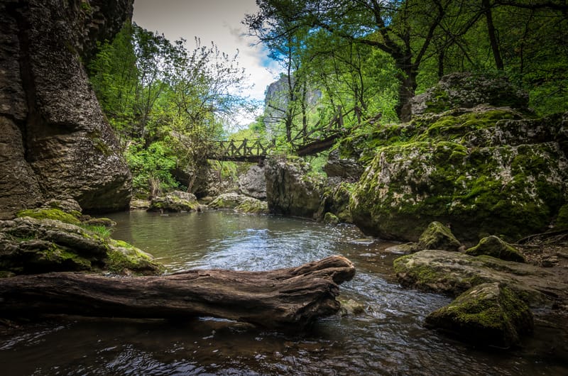 Veliko Tarnovo, la sud de graniță! TOP Activități