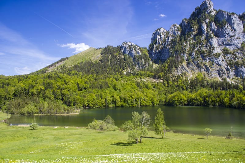 Descopera Gmunden - Paradisul verde al Austriei l Ce sa vizitezi