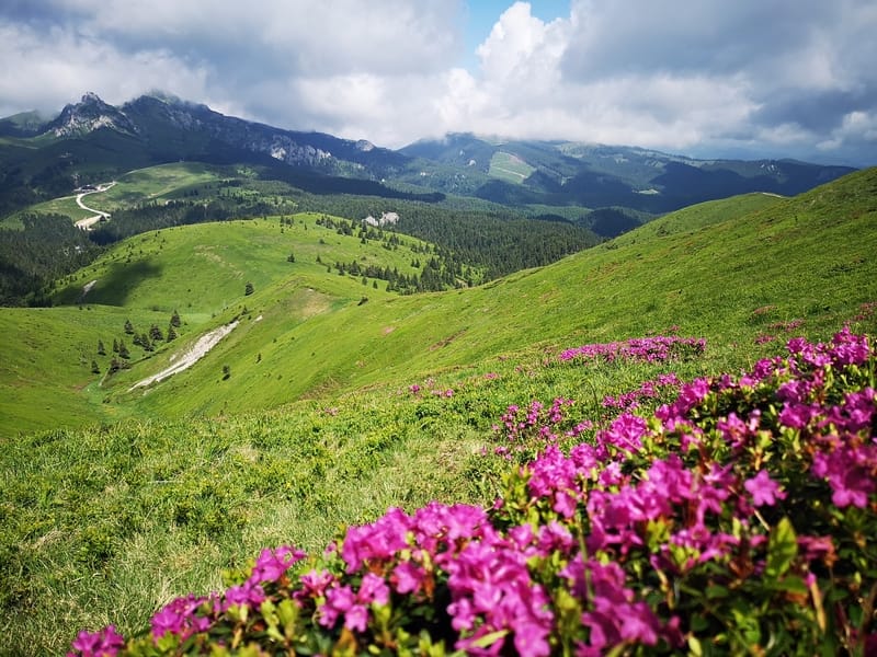 Vârful Ciucaș, o experiență care dă dependență!