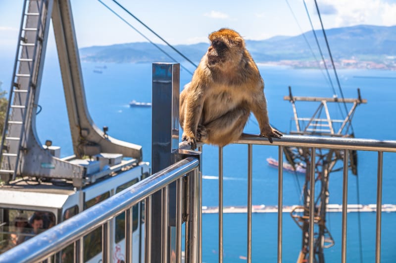 Cum sa petreci o zi in Gibraltar l Un Day trip perfect din Andaluzia