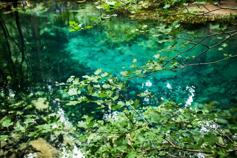 Lacul Ochiul Beiului și Lacul Scropoasa, două comori de smarald ale României