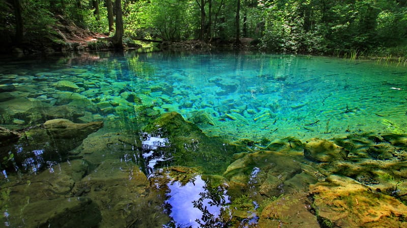 Lacul Ochiul Beiului și Lacul Scropoasa, două comori de smarald ale României