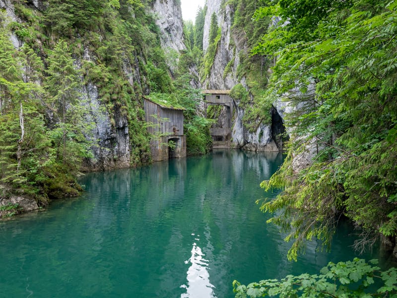 Lacul Ochiul Beiului și Lacul Scropoasa, două comori de smarald ale României