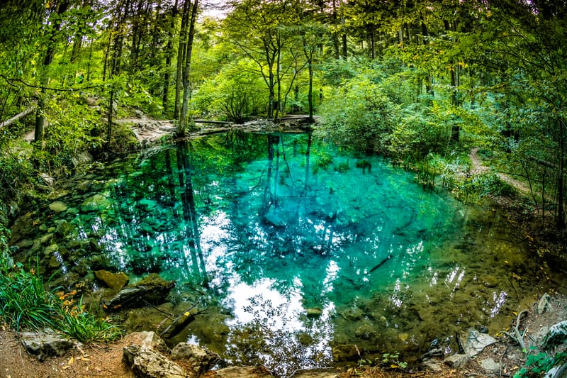 Lacul Ochiul Beiului și Lacul Scropoasa, două comori de smarald ale României