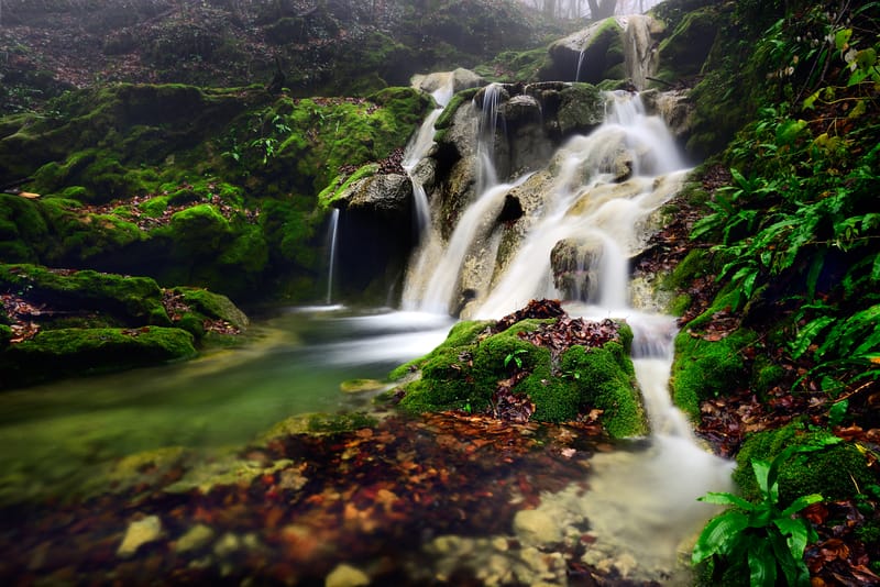 Lacul Ochiul Beiului și Lacul Scropoasa, două comori de smarald ale României