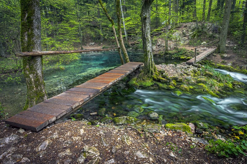 Lacul Ochiul Beiului și Lacul Scropoasa, două comori de smarald ale României