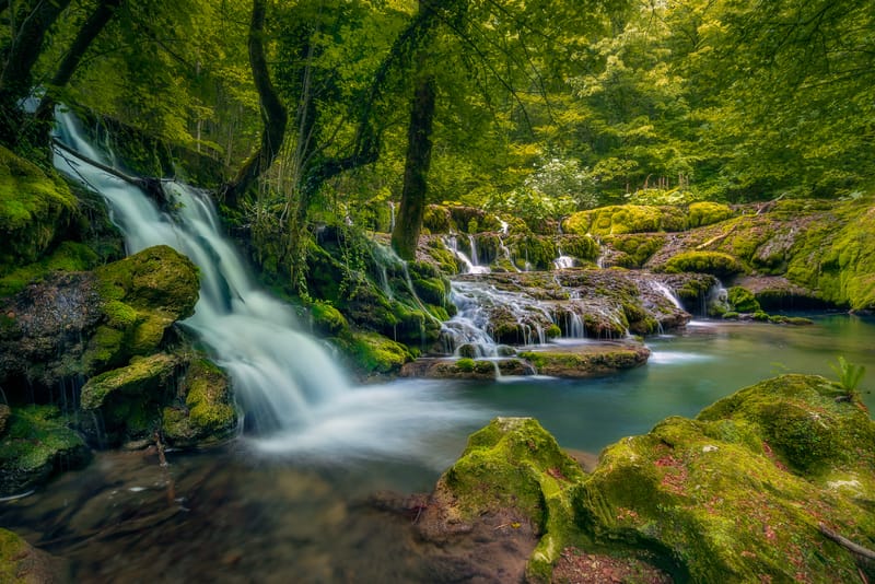 Lacul Ochiul Beiului și Lacul Scropoasa, două comori de smarald ale României