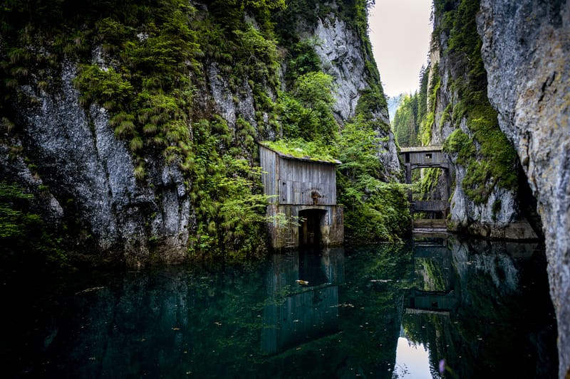 Lacul Ochiul Beiului și Lacul Scropoasa, două comori de smarald ale României