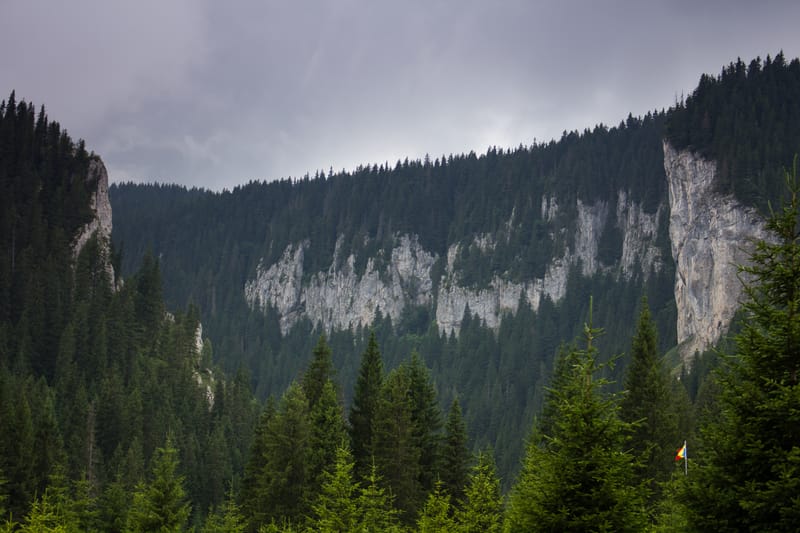 Lacul Ochiul Beiului și Lacul Scropoasa, două comori de smarald ale României