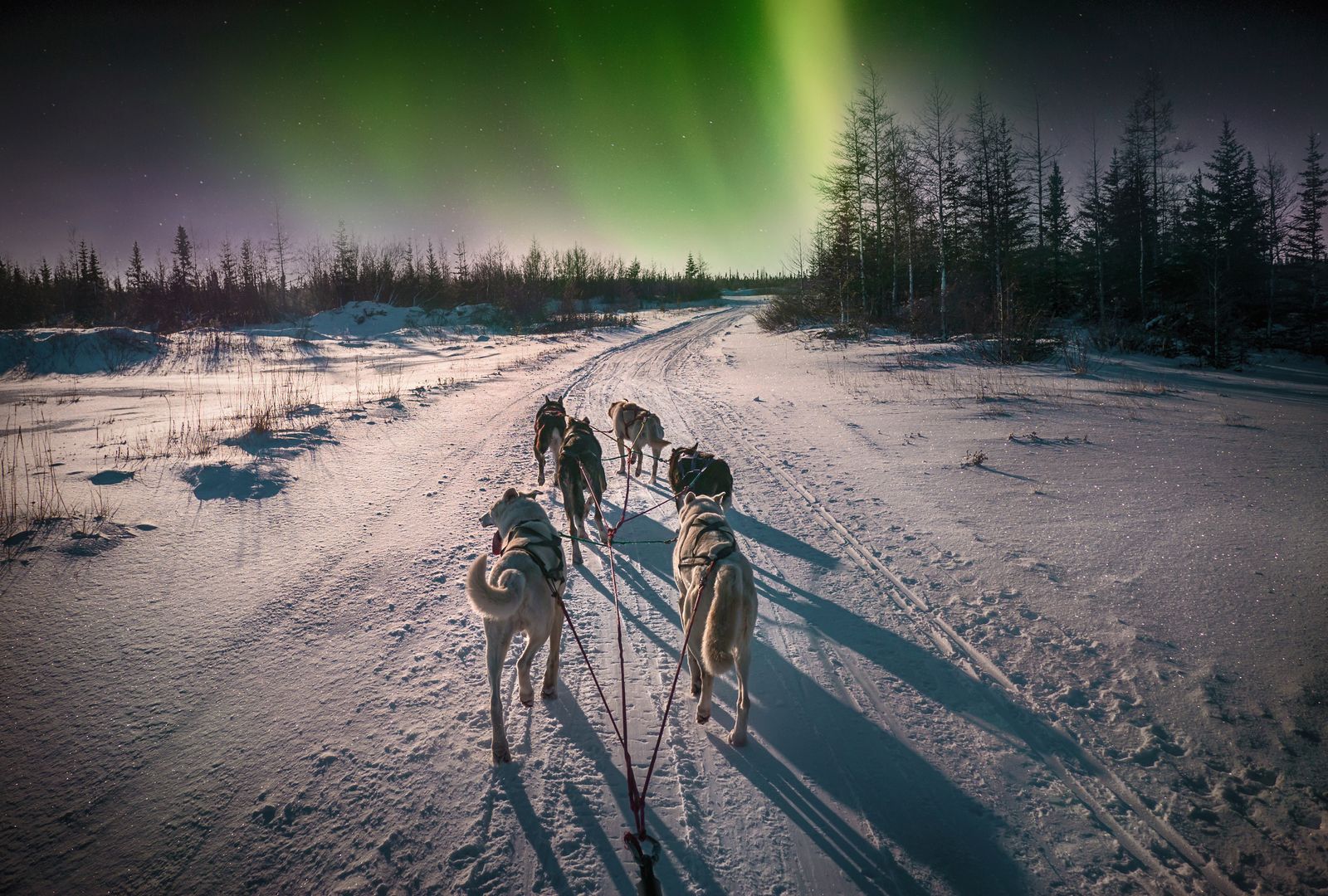 Sezonul Aurorei Boreale - Locatii ideale pentru a vedea Aurora Boreala!