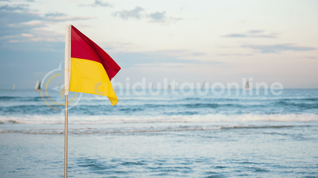 Steagurile arborate pe plaja si semnificatia lor