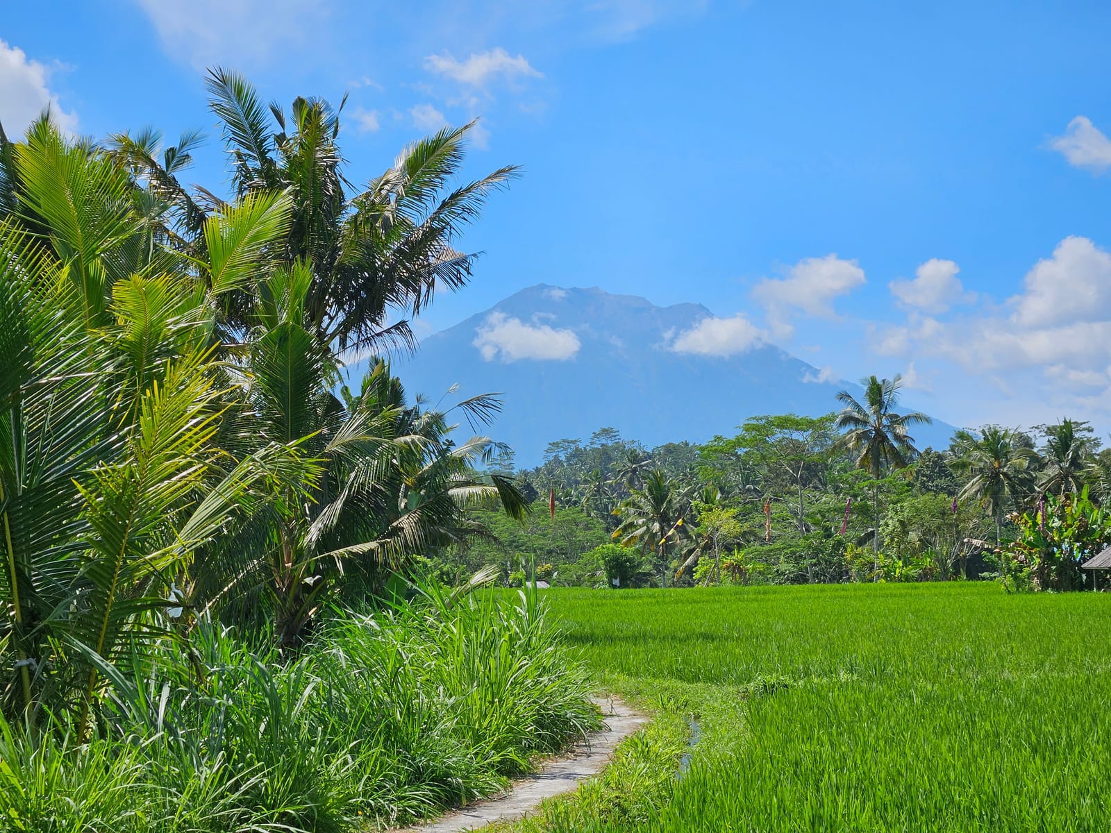 Sidemen - Locul cu adevărat autentic din Bali! Itinerar 5 zile
