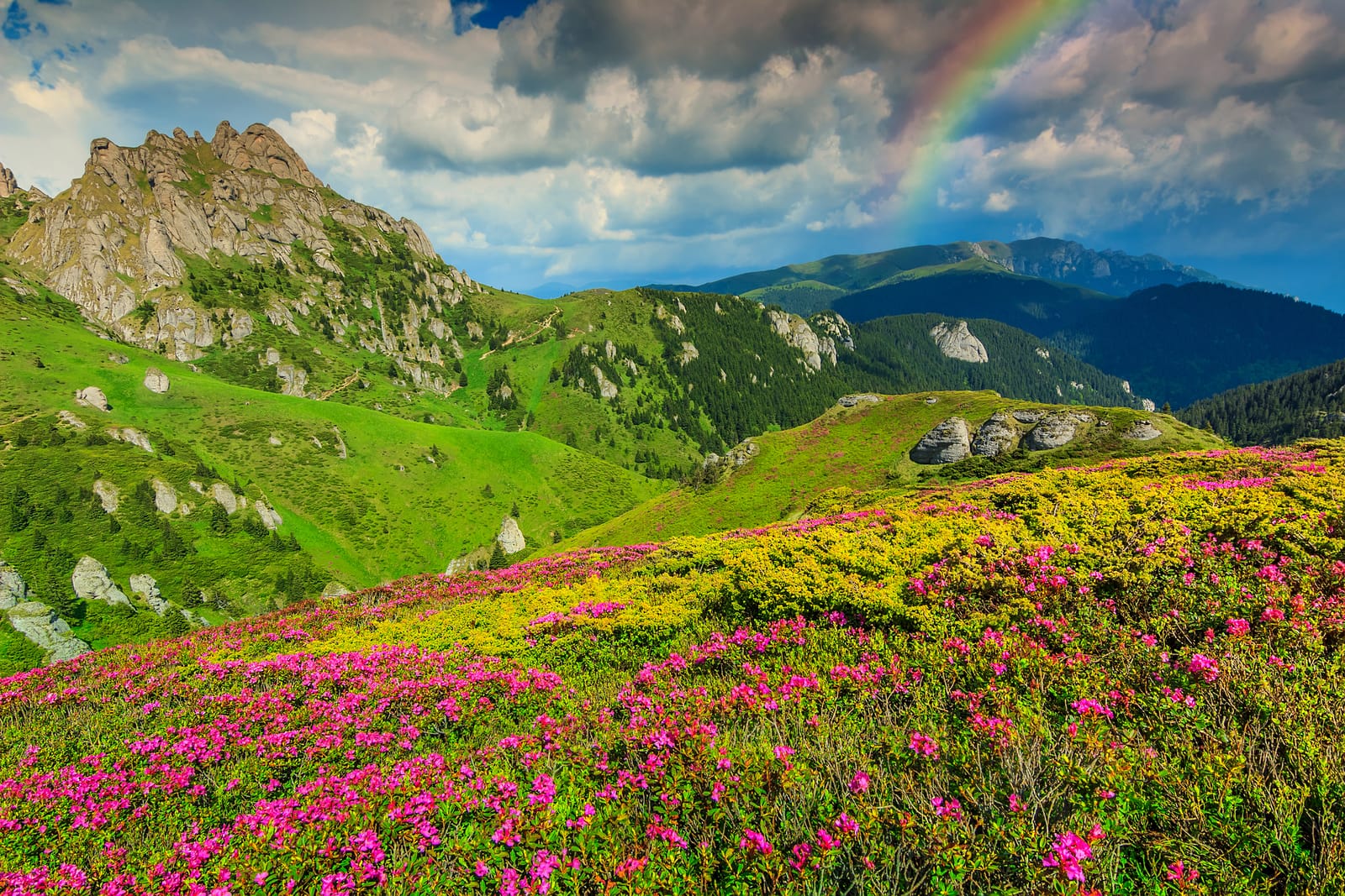 Vârful Ciucaș, o experiență care dă dependență!